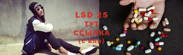 ГАЛЛЮЦИНОГЕННЫЕ ГРИБЫ Белоозёрский