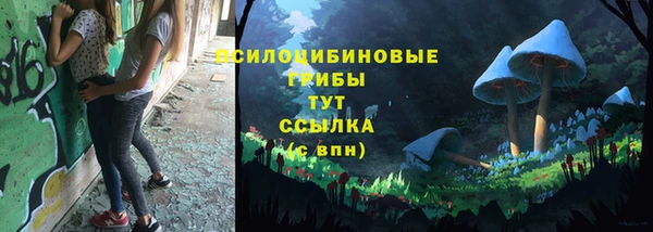 кокс Белокуриха