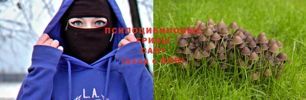 кокс Белокуриха