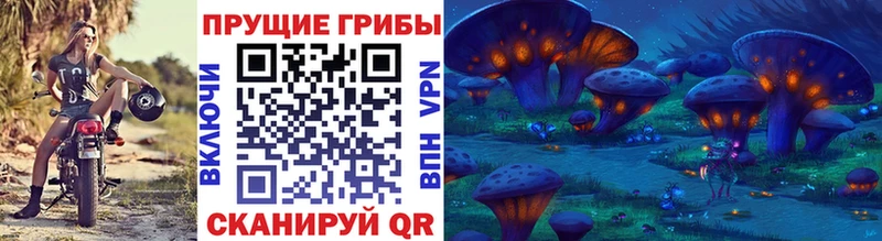 Псилоцибиновые грибы Psilocybine cubensis что такое наркотик Рудня