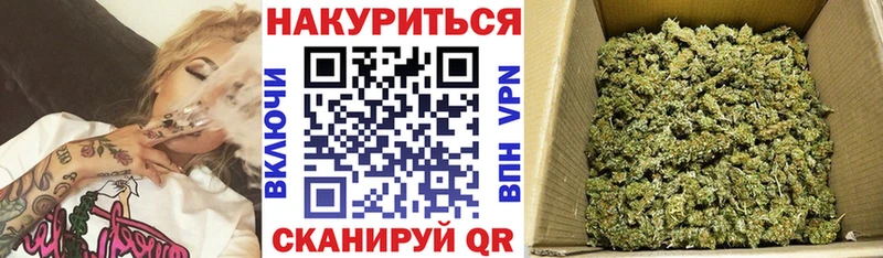 Конопля SATIVA & INDICA  Рудня 